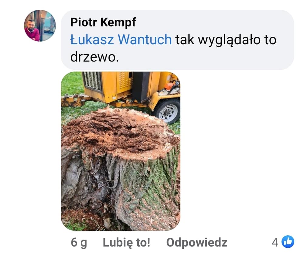 Dyrektor Zarządu Zieleni Miejskiej Piotr Kempf pokazuje mieszkańcom stan krakowskich drzew po 18 latach rządów Jacka Majchrowskiego.