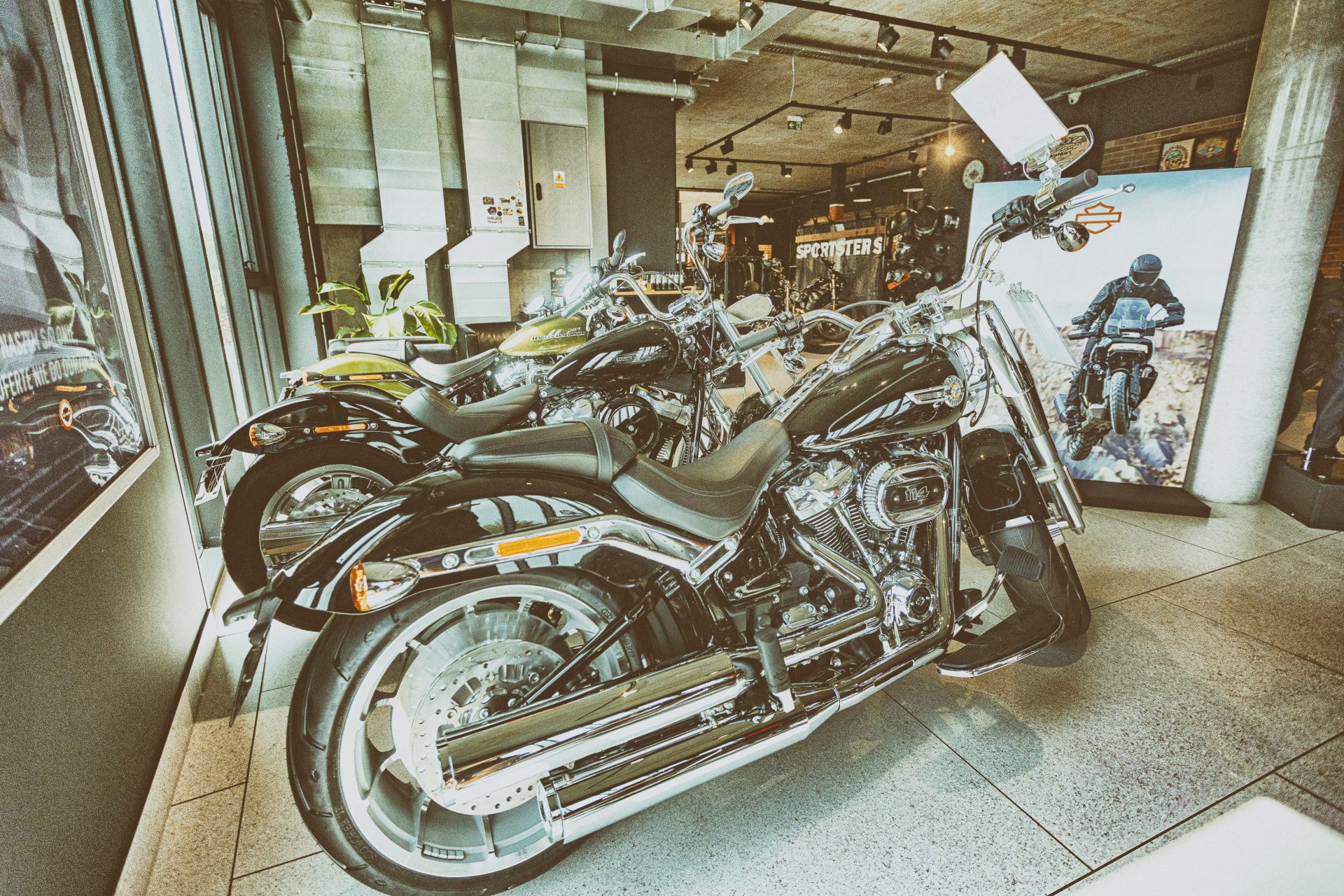 Nowy Harley to wydatek rzędu od 70 do 300 tys. złotych.