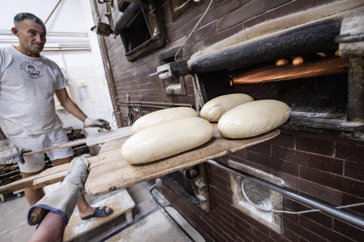 Piekarnia Mojego Taty